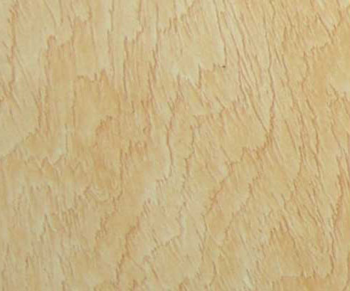 T2009-河北實木復合門